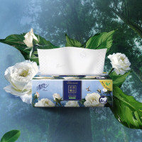 Breeze 清风 花萃臻品 抽纸 4层80抽54包（190mm*132mm）