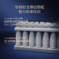 CBD家居德国ASW弹簧 记忆棉床垫25CM助眠0压床垫软硬适中氧生 氧生R-偏软释压款 32CM 1800*2000mm