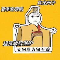 BPE龙图毯子皇帝异形搞怪毯搞怪宿舍法兰绒礼午睡毯搞笑龙玉涛表情包 龙图皇帝毛毯90*180【齺】