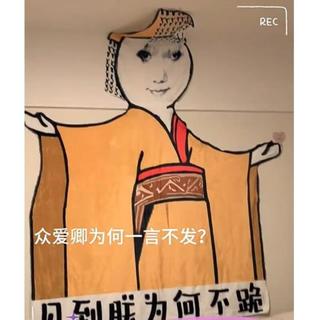 BPE龙图毯子皇帝异形搞怪毯搞怪宿舍法兰绒礼午睡毯搞笑龙玉涛表情包 龙图皇帝毛毯50*100cm【齺】