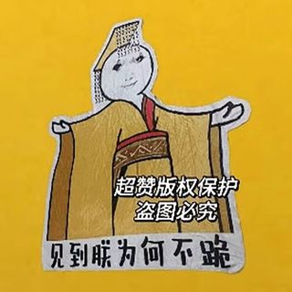 BPE龙图毯子皇帝异形搞怪毯搞怪宿舍法兰绒礼午睡毯搞笑龙玉涛表情包 龙图皇帝毛毯50*100cm【齺】
