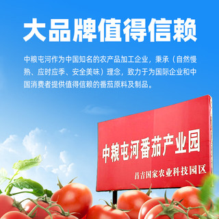 屯河新疆内蒙番茄罐头0脂肪0防腐剂新鲜西红柿块番茄丁0添加剂番茄块 番茄丁390g*6罐