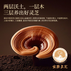 芝正元 破壁灵芝孢子粉胶囊礼盒三萜16%进阶款 自用补品端午节