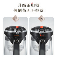 小熊飘逸杯泡玻璃泡茶壶一键茶水分离冲茶器2024家用过滤茶具