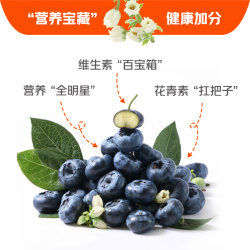 京鲜生 国产蓝莓 6盒装