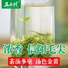 五云村 信阳毛尖 特级明前嫩芽 250g 绿茶