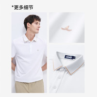 Navigare意大利小帆船男凉感翻领T恤抑菌休闲短袖polo衫1325525566 白 3XL 冰川白