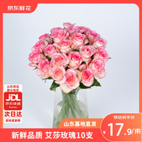 京东鲜花 艾莎玫瑰花 10枝 山东基地 50-55cm