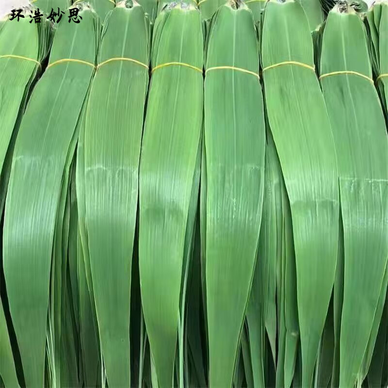  欧贤禾 新鲜现摘 粽子叶+绳