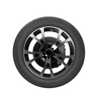 WINDA万达轮胎 汽车轮胎 195/60R15 88V WP18 适配F3/宏光/风光330