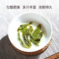 徽六六安瓜片2024年新茶绿茶茶叶徽青300系列浓香耐泡口粮茶 PDD 一级六安瓜片200g