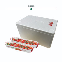 京鲜生＆知翠 北京串番茄 198g*2盒 净396g 自然成熟 源头直发