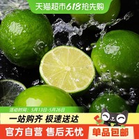 鲜蜂队 云南 青柠檬 1斤 50-100g/个