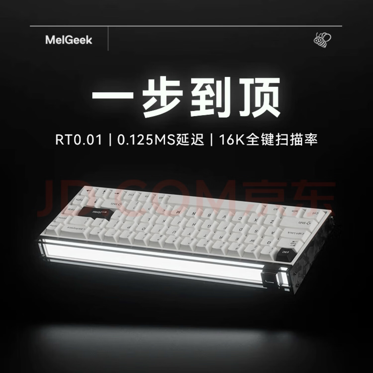 电泳白