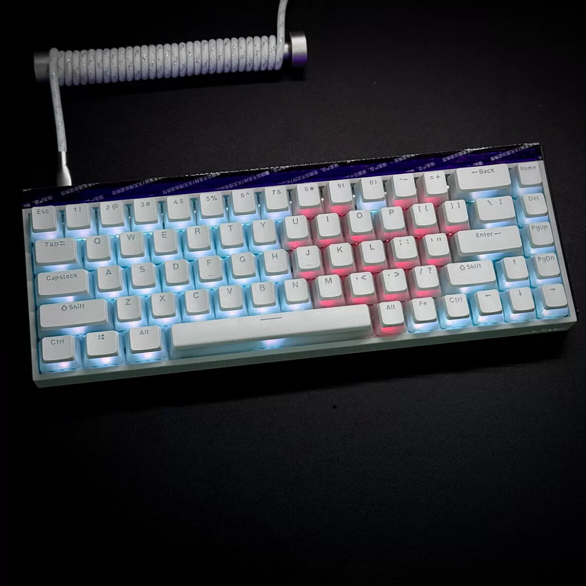 纯白