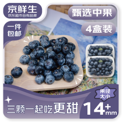 京鲜生 国产蓝莓（14mm+）125g*4盒