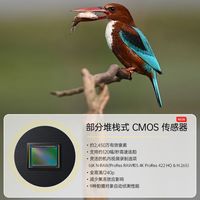 国行全新尼康Z6III 尼康z63 尼康z6三代 全画幅微单机身24-70套机