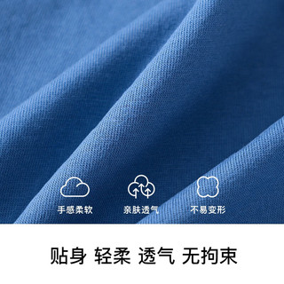 精典泰迪男童裤子儿童短裤中小童装夏季薄款五分裤夏装新款衣服 (笨笨熊)