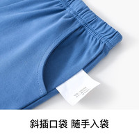 精典泰迪男童裤子儿童短裤中小童装夏季薄款五分裤夏装新款衣服 (笨笨熊)