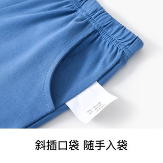 精典泰迪男童裤子儿童短裤中小童装夏季薄款五分裤夏装新款衣服 (笨笨熊)