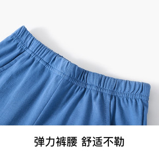 精典泰迪男童裤子儿童短裤中小童装夏季薄款五分裤夏装新款衣服 (笨笨熊)