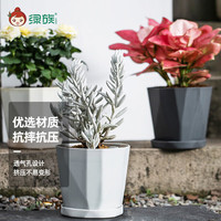 绿族 简约大号木里花盆 3个装 大号3色