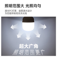 ARROW箭牌照明 LED高显色节能灯泡大功率家用厂房工地光源48W三只装