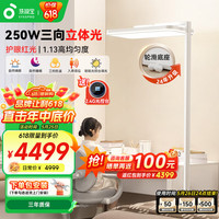 孩视宝 红光立式护眼大路灯学习家用台灯落地儿童阅读灯E7-250W-R