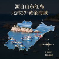 赵家即食海参2斤（20-30只） 㡳播剌参 鲜活海参加工 免泡发