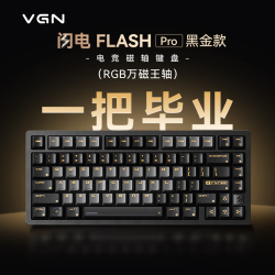 VGN 磁轴  闪电Pro RGB万磁王轴黑金