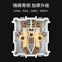 TEP 国际电工 86型暗装墙壁电源开关圆形香槟金拉丝五孔带开关插座 五孔(10A) 插座