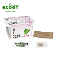 生态E园 ecoeY 儿童种植阳台种菜科学实验玩具diy植物观察豆芽苗菜水培花盆 鸡毛菜