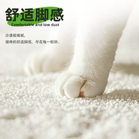 SMARTTAIL 不粘底强吸水易结团 植物猫砂