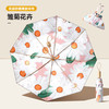 桔子灯笼 Orange Lantern 八骨双层伞 雏菊花卉 94.5cm