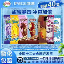 伊利 雪糕冰淇淋巧乐兹组合40支（共2690g）
