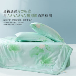百丽丝 水星100%有机蚕丝夏被 A类 200×230cm