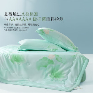 百丽丝 水星100%有机蚕丝夏被 A类 200×230cm