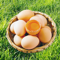  黔无双 无农残无抗生素 鲜鸡蛋