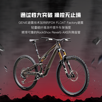 SPECIALIZED S-WORKS STUMPJUMPER 15 碳纤维全避震山地车