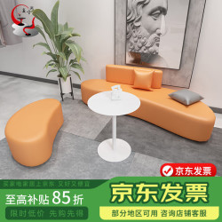 赢寸间 会客接待室创意个性沙发组合 长2400mm 宽800mm 高720mm 组合一