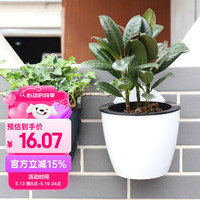 恰好时光 壁挂自吸水懒人花盆 2个装 壁挂自吸水懒人花盆（2个装）