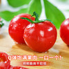 圣女果千禧小番茄超甜新鲜自然熟西红柿生吃水果现摘包邮