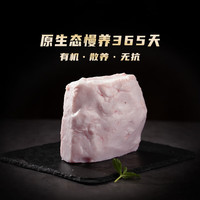 密架山猪云南高原有机黑毛土猪肉板油500g冷冻新鲜现杀猪肥肉 猪肥肉  500g