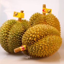 好鲜市集 泰国金枕榴莲
