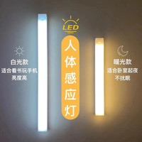 条形智能人体感应LED小夜灯typec充电磁吸鞋柜衣柜橱柜光控起夜灯