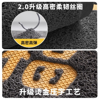 茵尚高级感入户门地垫大门门外丝圈进门脚垫门口入门门垫室外蹭土地毯 大吉利灰色贴皮压花丝圈地垫 50*80cm【柔软高弹 脚感松软】