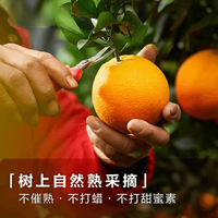 静羽 爆甜多汁 赣南脐橙