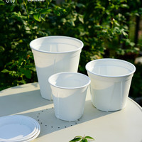 塔莎的花园 青山盆国产盆园艺养花育苗透气透水控根塑料花盆 【10个】国产青山240 带托 塑料 中等