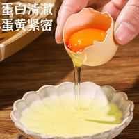 金咕 农家散养土鸡蛋 初生谷饲柴鸡蛋