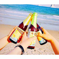 Mongozo/梦果酌 比利时果味精酿啤酒